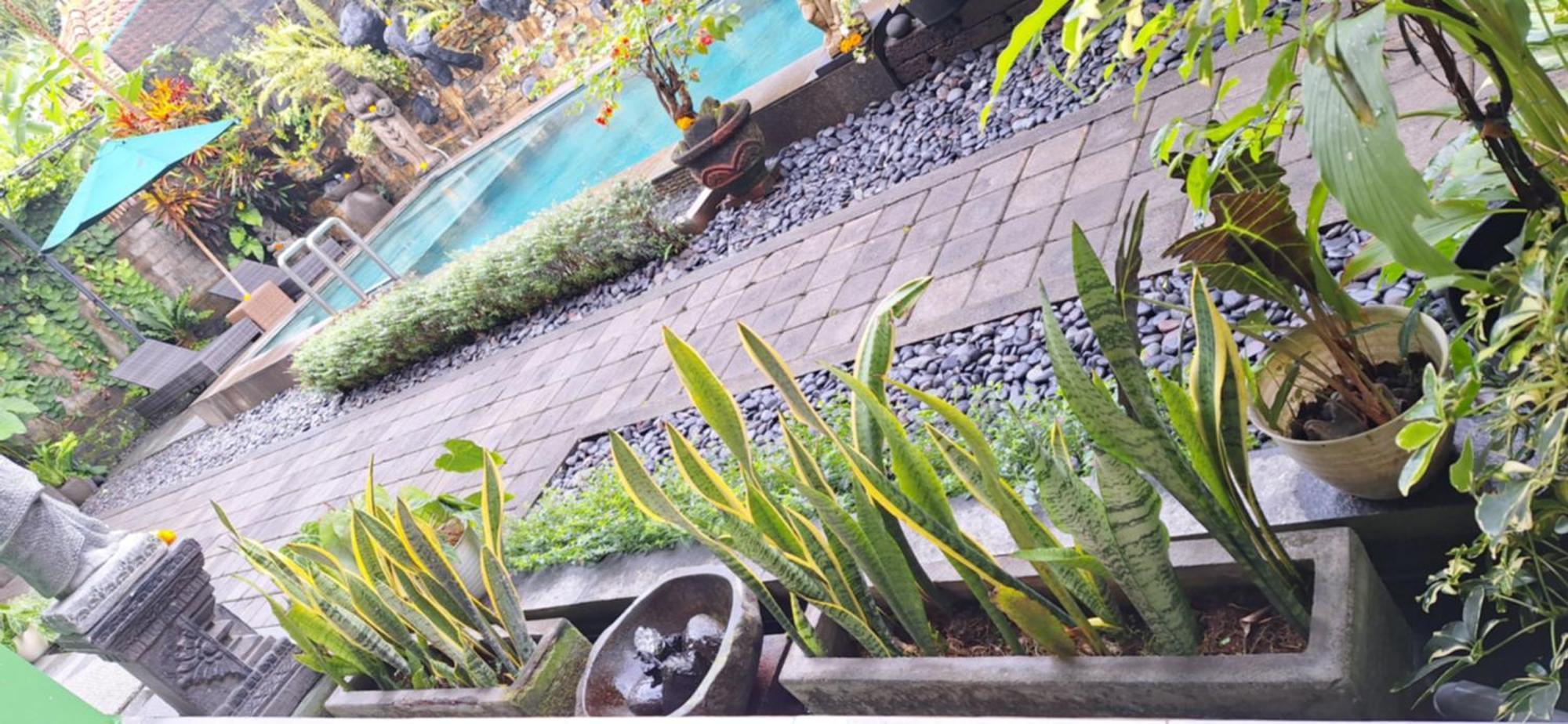 Sari Mimpi Kutuh Villa Ubud Buitenkant foto