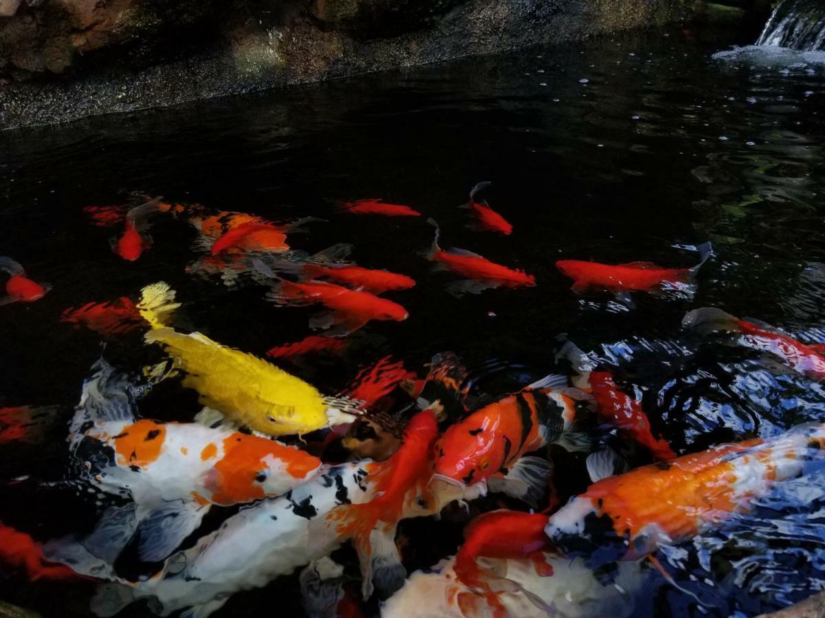 Sari Mimpi Kutuh Villa Ubud Buitenkant foto